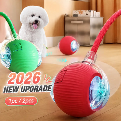 Smart Auto-Rolling Dog Ball