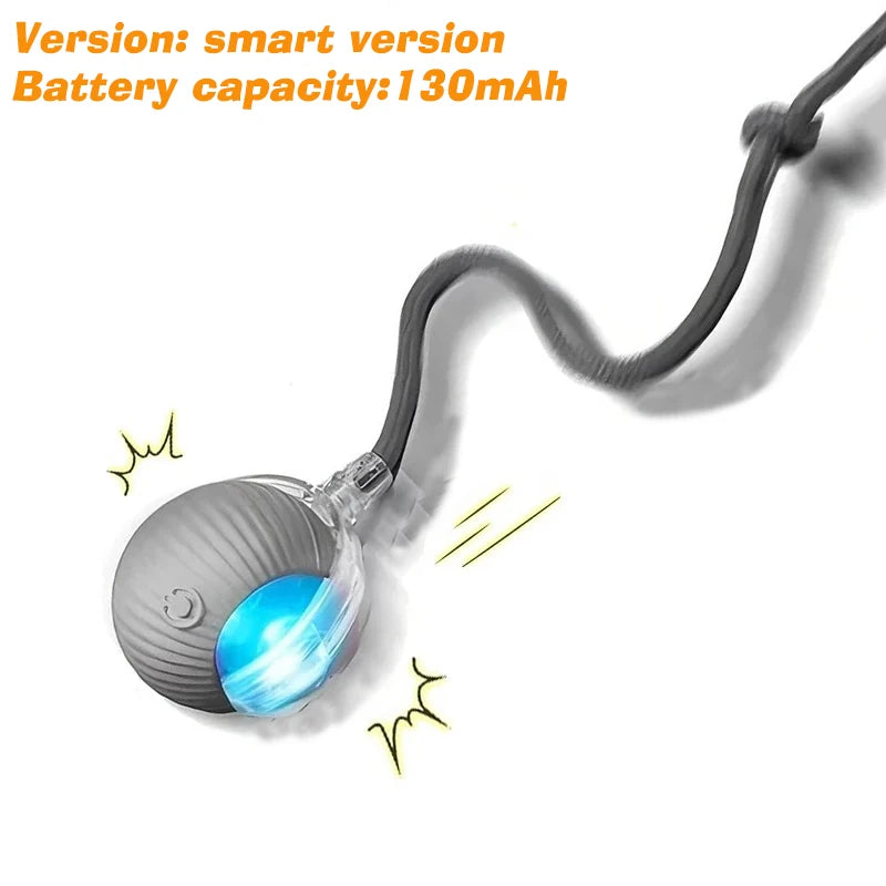 Smart Auto-Rolling Dog Ball