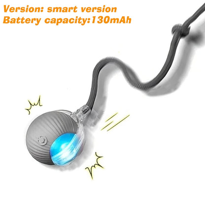 Smart Auto-Rolling Dog Ball