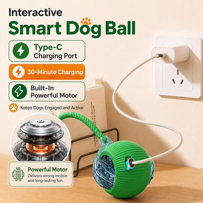 Smart Auto-Rolling Dog Ball