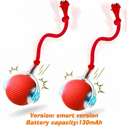 Smart Auto-Rolling Dog Ball