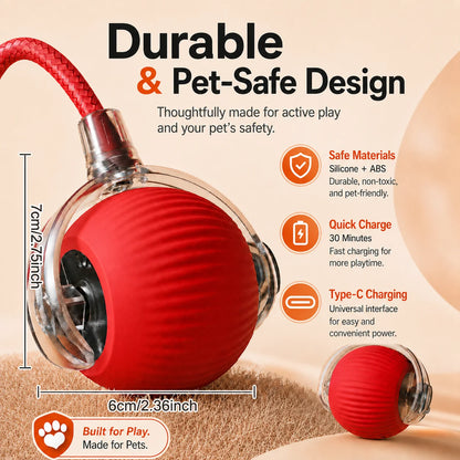 Smart Auto-Rolling Dog Ball