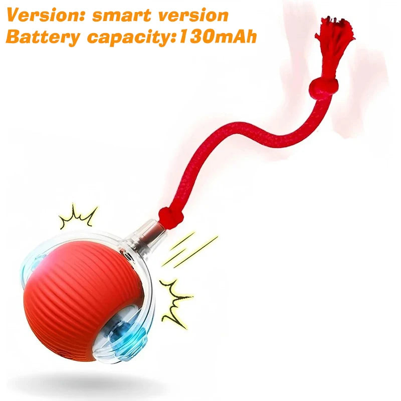 Smart Auto-Rolling Dog Ball