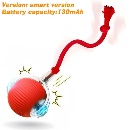 Smart Auto-Rolling Dog Ball