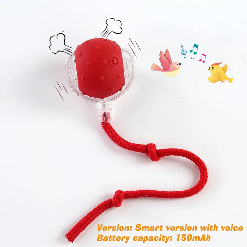 Smart Auto-Rolling Dog Ball