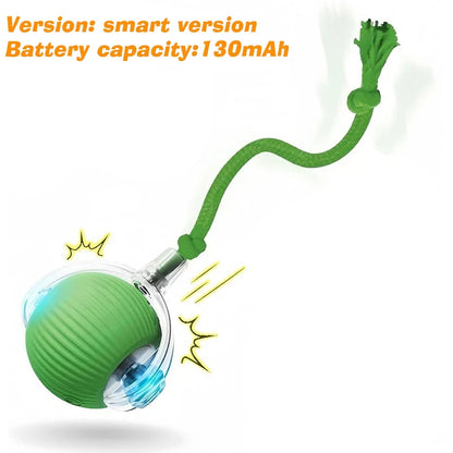 Smart Auto-Rolling Dog Ball