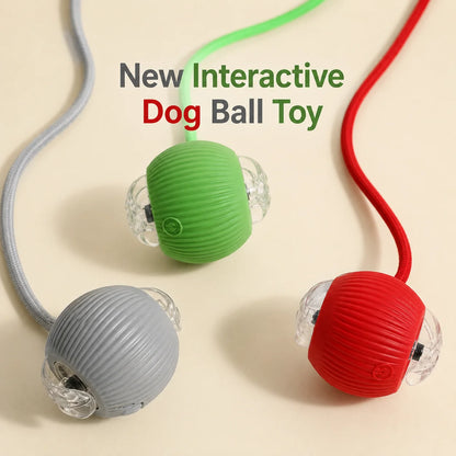 Smart Auto-Rolling Dog Ball